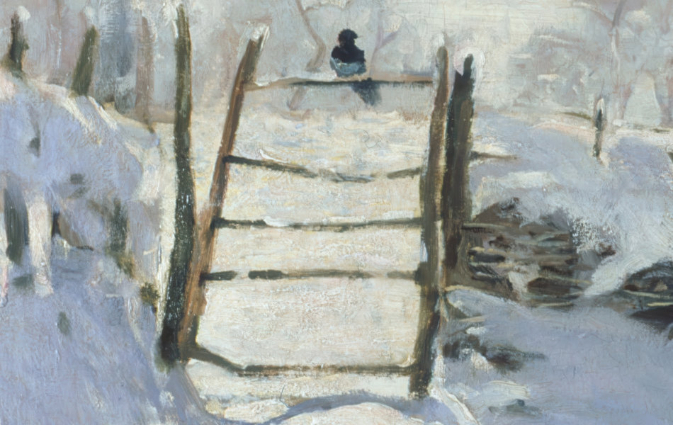 Magpie Sitting on Wooden Gate